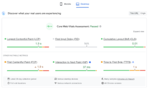 Sample of PageSpeed Insights result